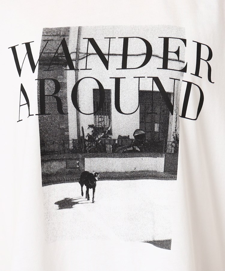 ザンパ(ZAMPA)のフォトプリントラウンドヘムTシャツ23
