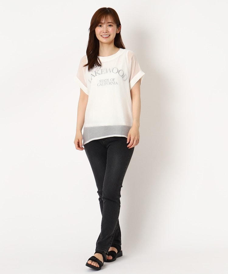 ザンパ(ZAMPA)の【SALE！！】ロゴインナー付きシアーニットギャザープルオーバー18