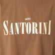 ザンパ(ZAMPA)の箔プリントルーズTシャツ19