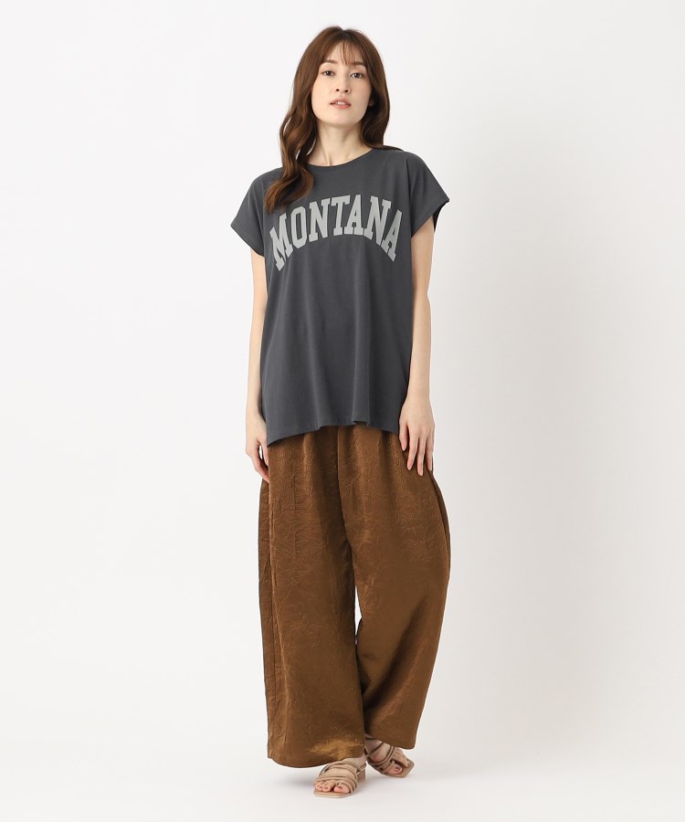 ザンパ(ZAMPA)のドルマンカレッジロゴTシャツ22