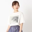 ザンパ(ZAMPA)のモノクロフォトクルーTシャツ オフホワイト(003)