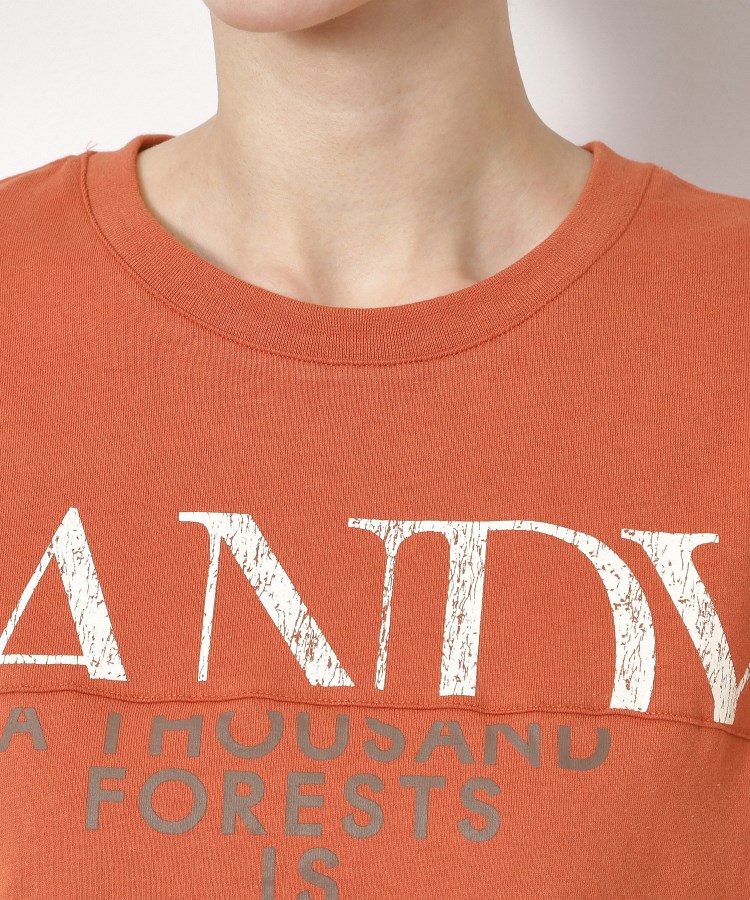ザンパ(ZAMPA)のリメイク風切替ドルマンTシャツ4