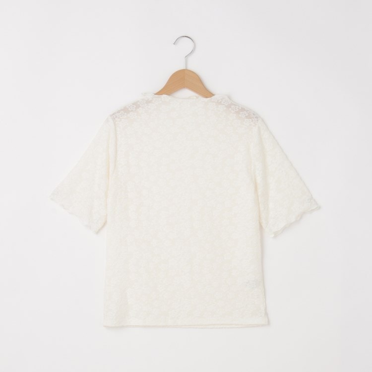オフプライスストア(ウィメン)(OFF PRICE STORE(Women))のmitis（ミティス） 花柄シアーボトルネックカットソー【SALE/セール/カジュアル/デイリー/トレンド/きれいめカジュアル】 カットソー