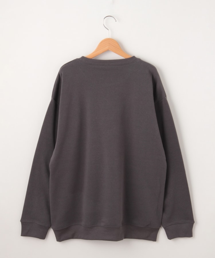 オフプライスストア(メンズ)(OFF PRICE STORE(Mens))のHALHAM（ハルハム） 裏起毛ロゴ刺しゅうトレーナー【SALE/カジュアル/デイリー/トレンド/ストリート/ユニセックス】3