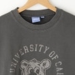オフプライスストア(メンズ)(OFF PRICE STORE(Mens))のUCLA（ユーシーエルエー） プリントトレーナー【SALE/カジュアル/デイリー/トレンド/ストリート/スポーティースタイル】3