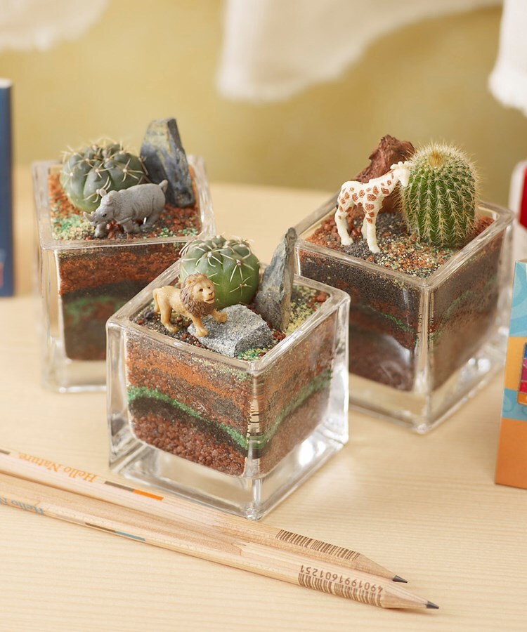 観葉植物の人気商品 通販 価格比較 価格 Com 観葉植物の人気商品 通販 価格比較 価格 Com