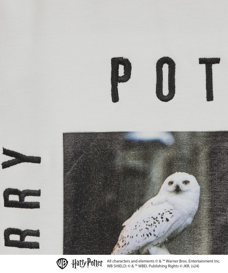 ティーケー タケオ キクチ(レディース)(tk.TAKEO KIKUCHI(Ladies))の【Harry Potter Capsule Collection】フォトプリントTシャツ16