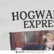 ティーケー タケオ キクチ(レディース)(tk.TAKEO KIKUCHI(Ladies))の【Harry Potter Capsule Collection】フォトプリントTシャツ26