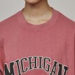 ティーケー タケオ キクチ(レディース)(tk.TAKEO KIKUCHI(Ladies))のピグメントカレッジTシャツ5