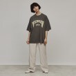 ティーケー タケオ キクチ(レディース)(tk.TAKEO KIKUCHI(Ladies))のピグメントカレッジTシャツ14