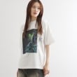 ティーケー タケオ キクチ(レディース)(tk.TAKEO KIKUCHI(Ladies))のフラワープリントTシャツ ホワイト(001)