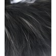 ラグタグ(RAGTAG)のSTUNNING LURE スタニングルアー レディース マフラー2