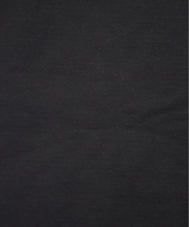 ラグタグ(RAGTAG)のSTUNNING LURE スタニングルアー レディース Tシャツ・カットソー サイズ：S5