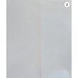 ラグタグ(RAGTAG)のDickies ディッキーズ メンズ パンツ（その他） サイズ：40(XXXL位)8