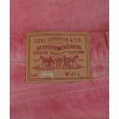 ラグタグ(RAGTAG)のSTUSSY ステューシー メンズ パンツ（その他） サイズ：30(M位)3