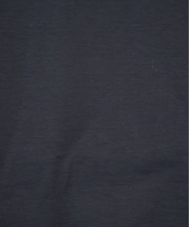 ラグタグ(RAGTAG)のSpick and Span スピックアンドスパン レディース Tシャツ・カットソー サイズ：F5