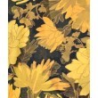 ラグタグ(RAGTAG)のDRIES VAN NOTEN ドリスヴァンノッテン レディース Tシャツ・カットソー サイズ：XS6