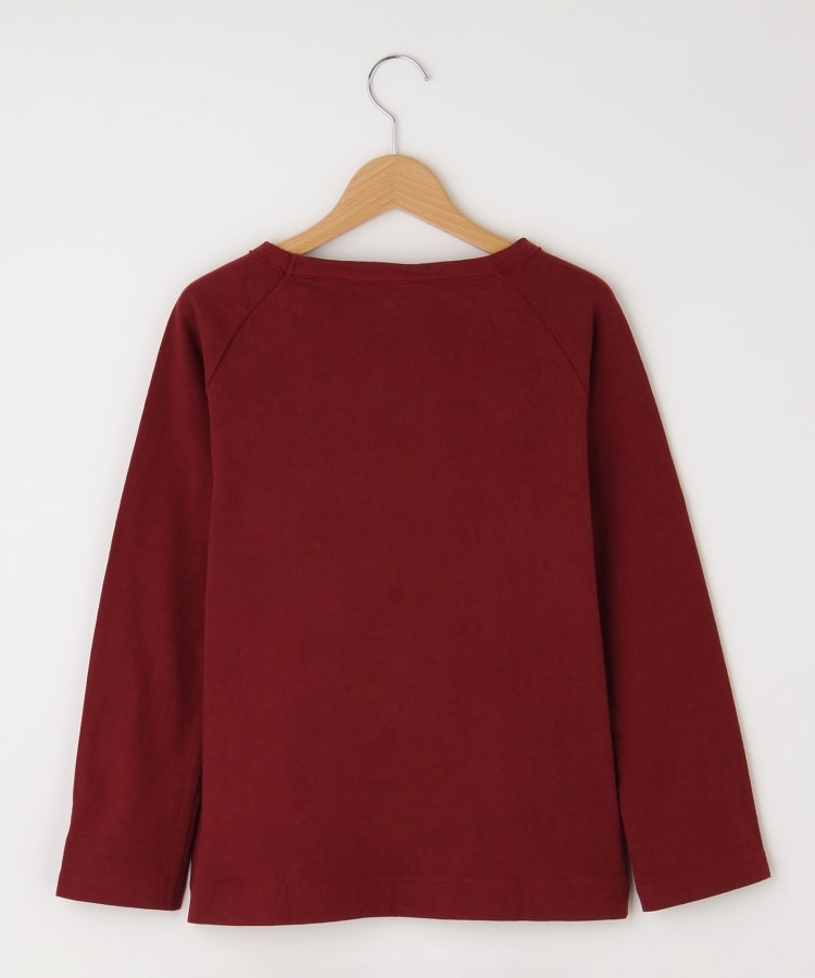 オフプライスストア(ウィメン)(OFF PRICE STORE(Women))のDANA（ダナ） コットンクルーネック長袖カットソー2
