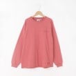 オフプライスストア(メンズ)(OFF PRICE STORE(Mens))のDickies（ディッキーズ） バックロゴロンT1