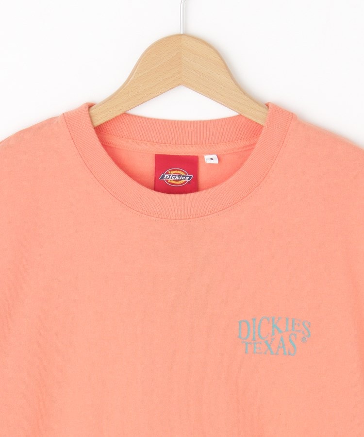 オフプライスストア(メンズ)(OFF PRICE STORE(Mens))のDickies（ディッキーズ） バックロゴTシャツ3