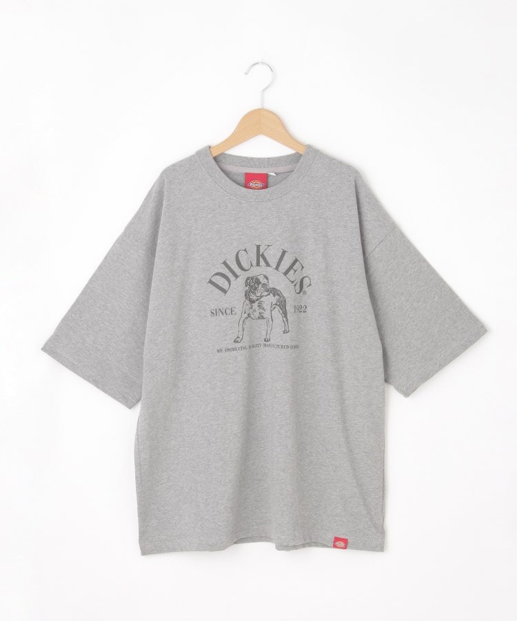オフプライスストア(メンズ)(OFF PRICE STORE(Mens))のDickies（ディッキーズ） プリントTシャツ グレー(012)