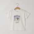 オフプライスストア(キッズ)(OFF PRICE STORE(Kids))のcoen キッズ／ジュニア　フォトプリントTシャツ　【洗える/SALE】 ホワイト(001)