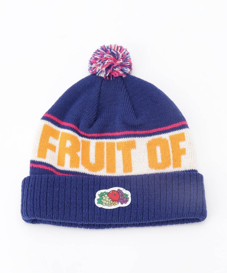 オフプライスストア(ファッショングッズ)(OFF PRICE STORE(Fashion Goods))のFRUIT OF THE LOOM ロゴラインニット帽 ブルー(092)