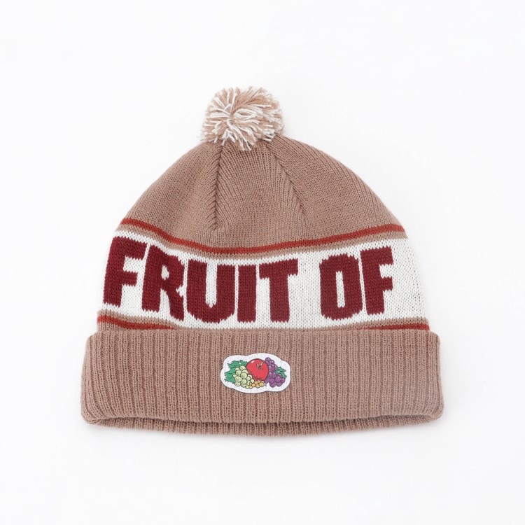 オフプライスストア(ファッショングッズ)(OFF PRICE STORE(Fashion Goods))のFRUIT OF THE LOOM ロゴラインニット帽 ニット帽