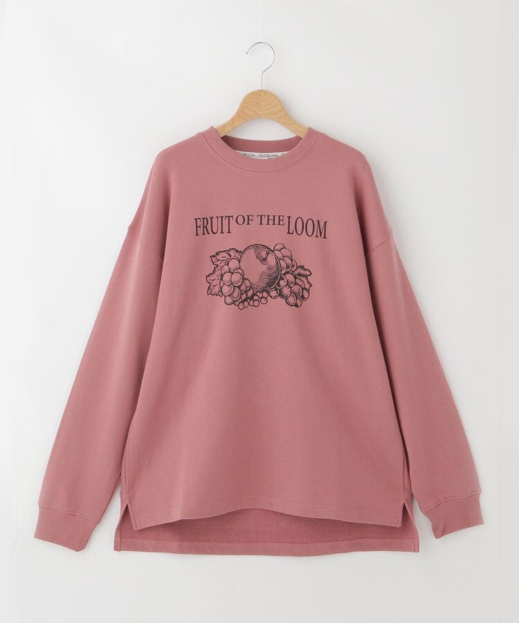 FRUIT OF THE LOOM ロゴプリントスウェット(スウェット FRUIT OF THE LOOM ロゴプリントスウェット(スウェット