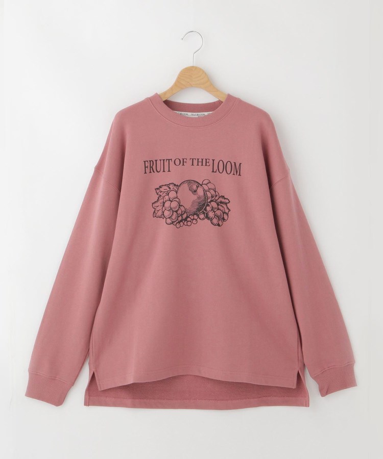 FRUIT OF THE LOOM ロゴプリントスウェット(スウェット FRUIT OF THE LOOM ロゴプリントスウェット(スウェット