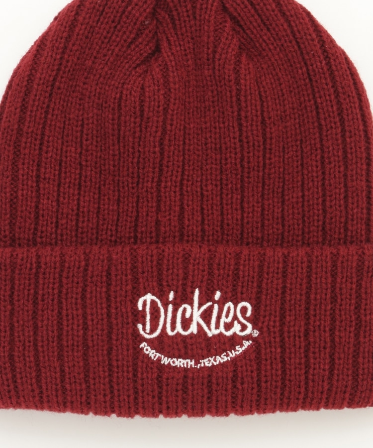 オフプライスストア(ファッショングッズ)(OFF PRICE STORE(Fashion Goods))のDickies（ディッキーズ） Dickies刺しゅうニット帽3