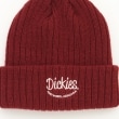 オフプライスストア(ファッショングッズ)(OFF PRICE STORE(Fashion Goods))のDickies（ディッキーズ） Dickies刺しゅうニット帽3