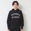 デッサン（ユニセックス）(Dessin(UNISEX))の【ユニセックス・洗える】ロゴジャカードフーデット13