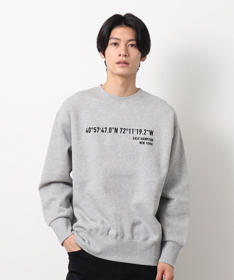 デッサン（ユニセックス）(Dessin(UNISEX))の【ユニセックス】座標プリントスウェット グレー(012)