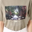 デッサン（ユニセックス）(Dessin(UNISEX))の【ユニセックス】フォトTシャツ12