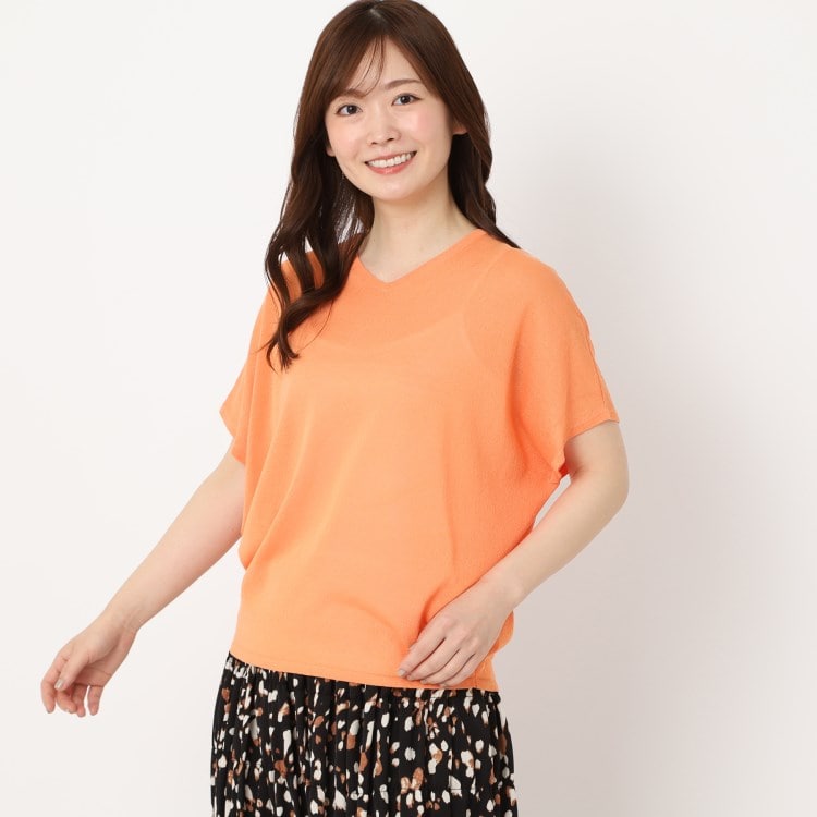 ヨリモ(YORIMO)の【トレンドのシアー感】浅いVネックのニットプルオーバー カットソー