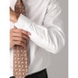 カミチャニスタ(CAMICIANISTA)のTab Collar ピンオックス17