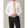 カミチャニスタ(CAMICIANISTA)のHorizontal イージーケア ｜ カルゼ3