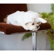プティマイン(petit main)の【DOG】アニマルなりきりボアベスト3