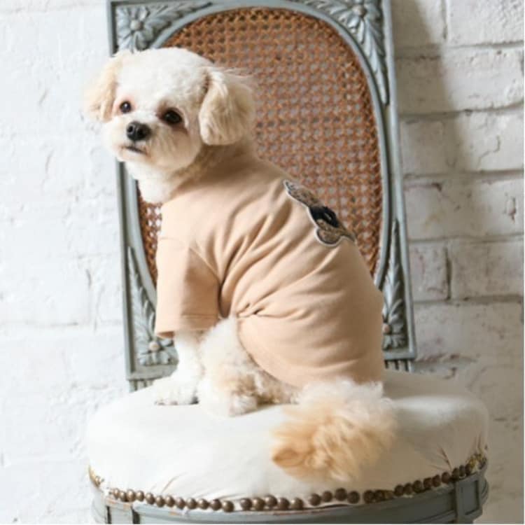 プティマイン(petit main)の【リンク】【DOG】クマサガラワッペントレーナー その他
