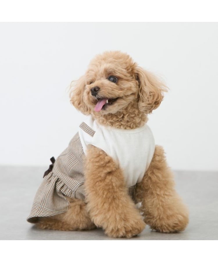 DOG】チェックドッキングワンピ(ペットウェア) | petit main DOG】チェックドッキングワンピ(ペットウェア) | petit main