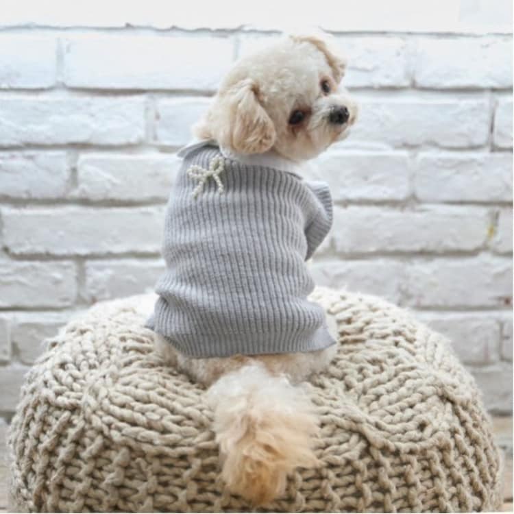プティマイン(petit main)の【リンク】【DOG】パールリボンつきニットタンク ペットウェア