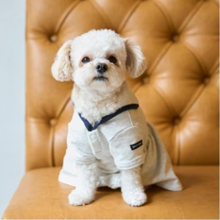 プティマイン(petit main)の【リンク】【DOG】セーラー衿ワンピ ペットウェア