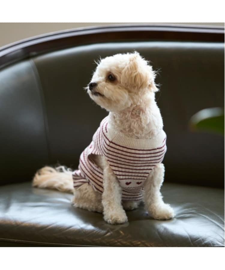 プティマイン(petit main)の【リンク】【DOG】ハートリブニットタンク4