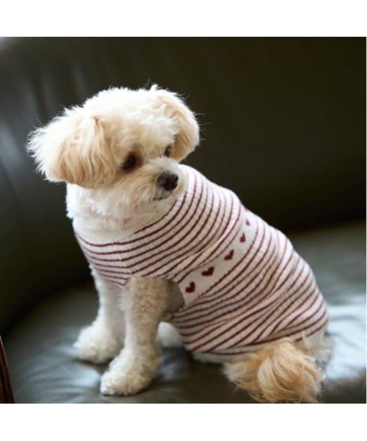 プティマイン(petit main)の【リンク】【DOG】ハートリブニットタンク5
