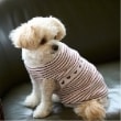 プティマイン(petit main)の【リンク】【DOG】ハートリブニットタンク5