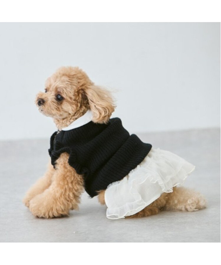 プティマイン(petit main)の【DOG】チュールスカート2