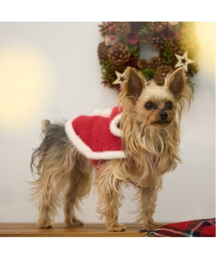 プティマイン(petit main)の【DOG】クリスマスポンチョ2