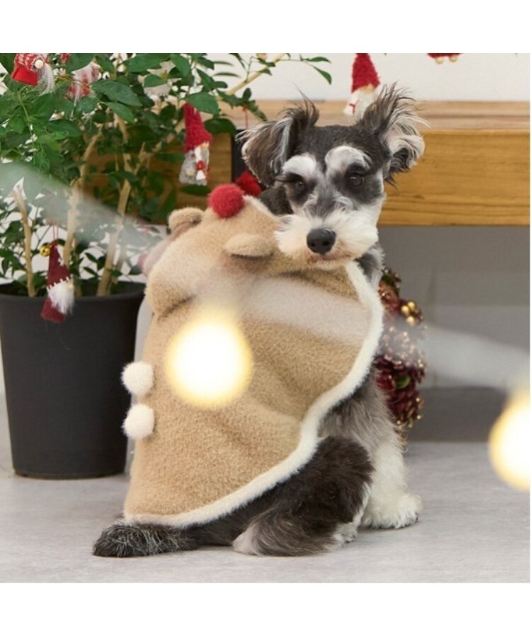 プティマイン(petit main)の【DOG】クリスマスポンチョ ベージュ(052)