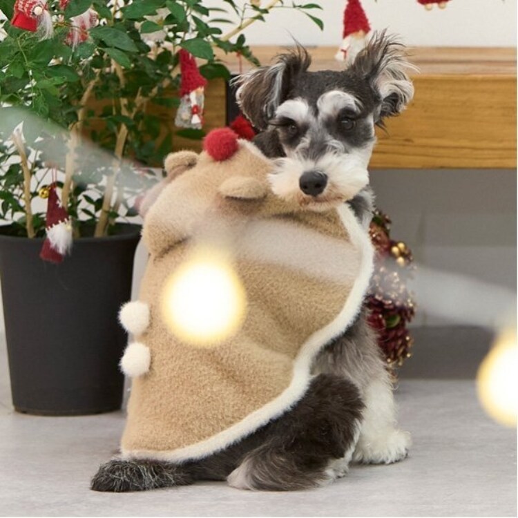 プティマイン(petit main)の【DOG】クリスマスポンチョ ペットウェア